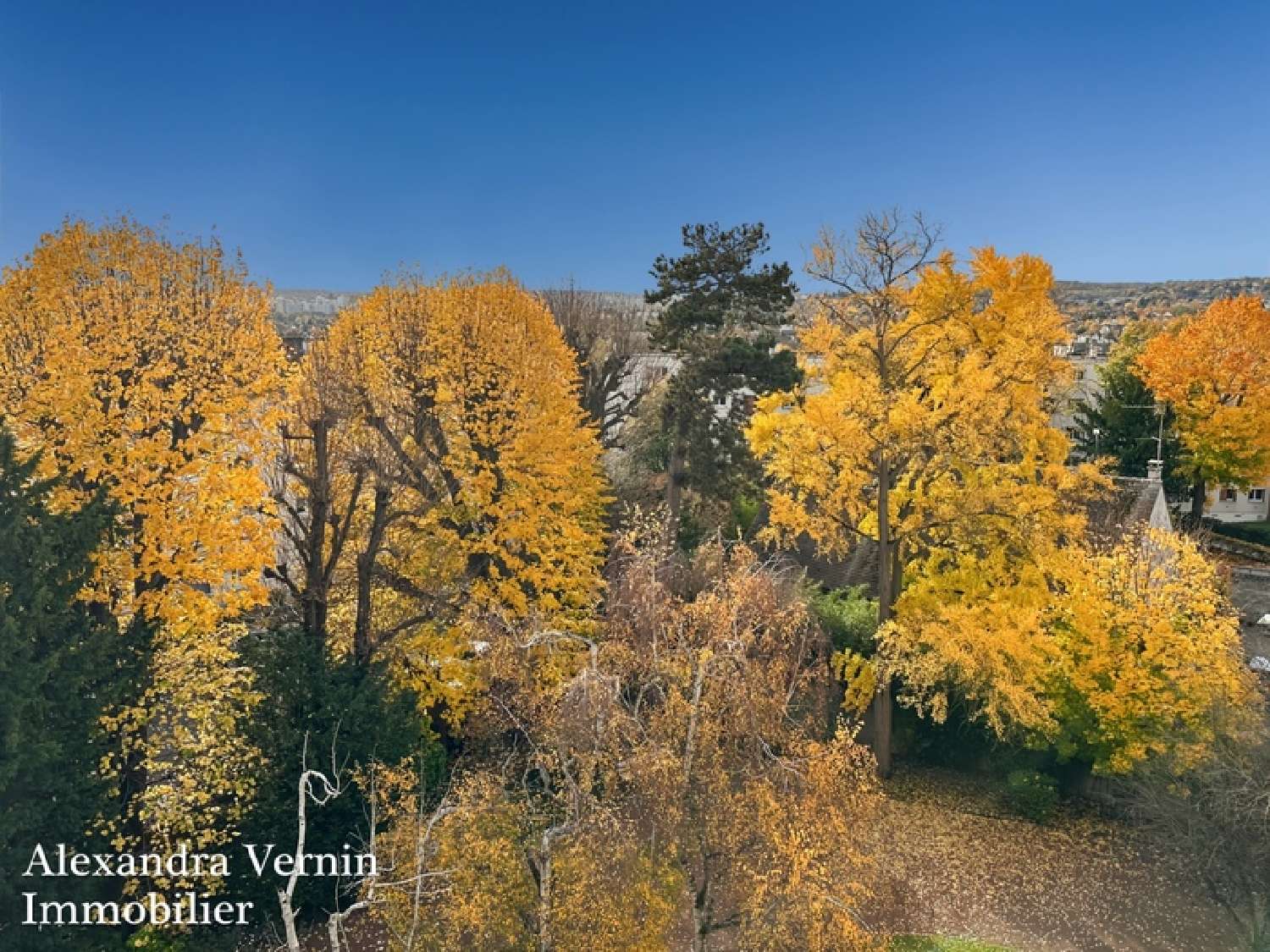  à vendre appartement Saint-Germain-en-Laye Yvelines 3