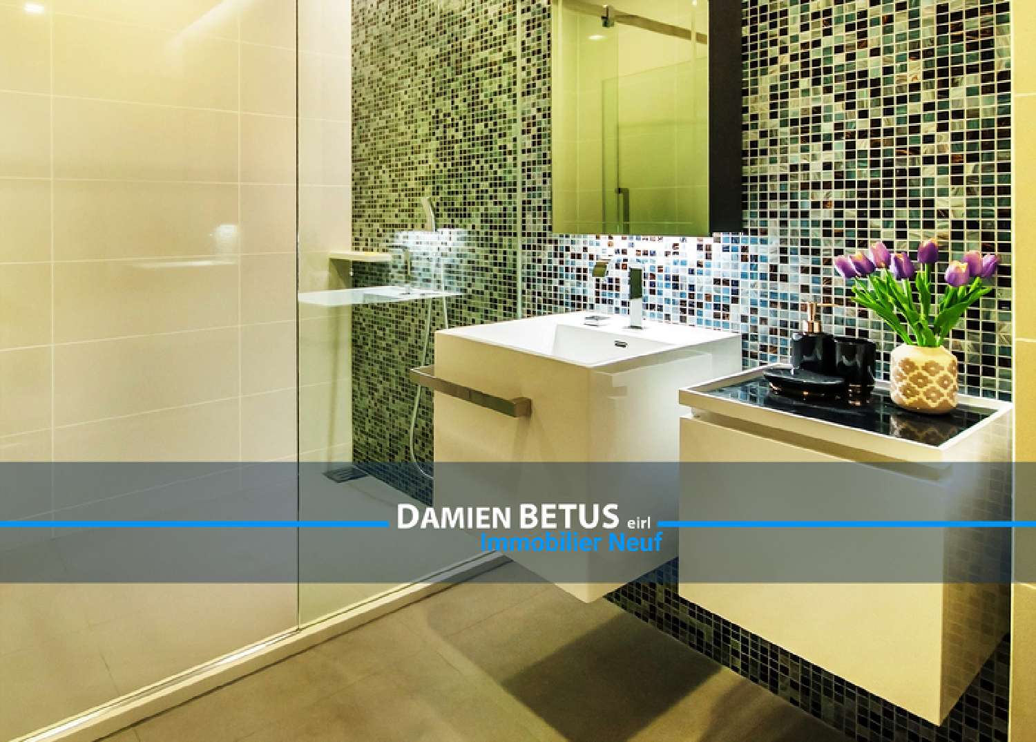  te koop appartement Saint-Jean-de-Monts Vendée 2