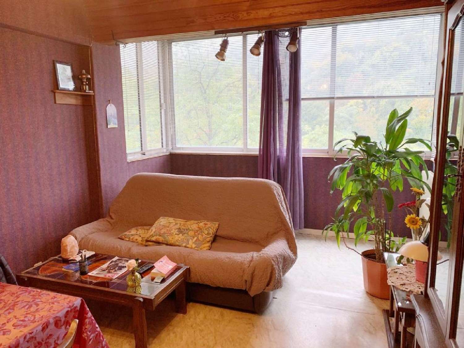  te koop appartement Saint-Laurent-sur-Saône Ain 1