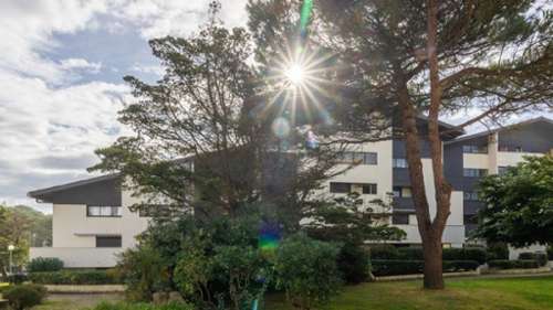 Seignosse Landes Wohnung/ Apartment Bild 7174548