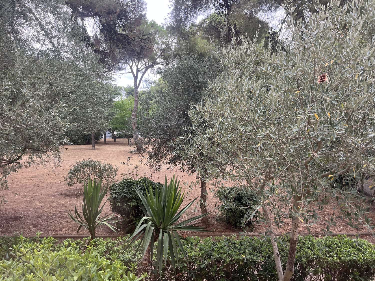 te koop appartement Sète Hérault 6