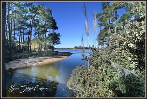 Soustons Landes appartement foto 7183786