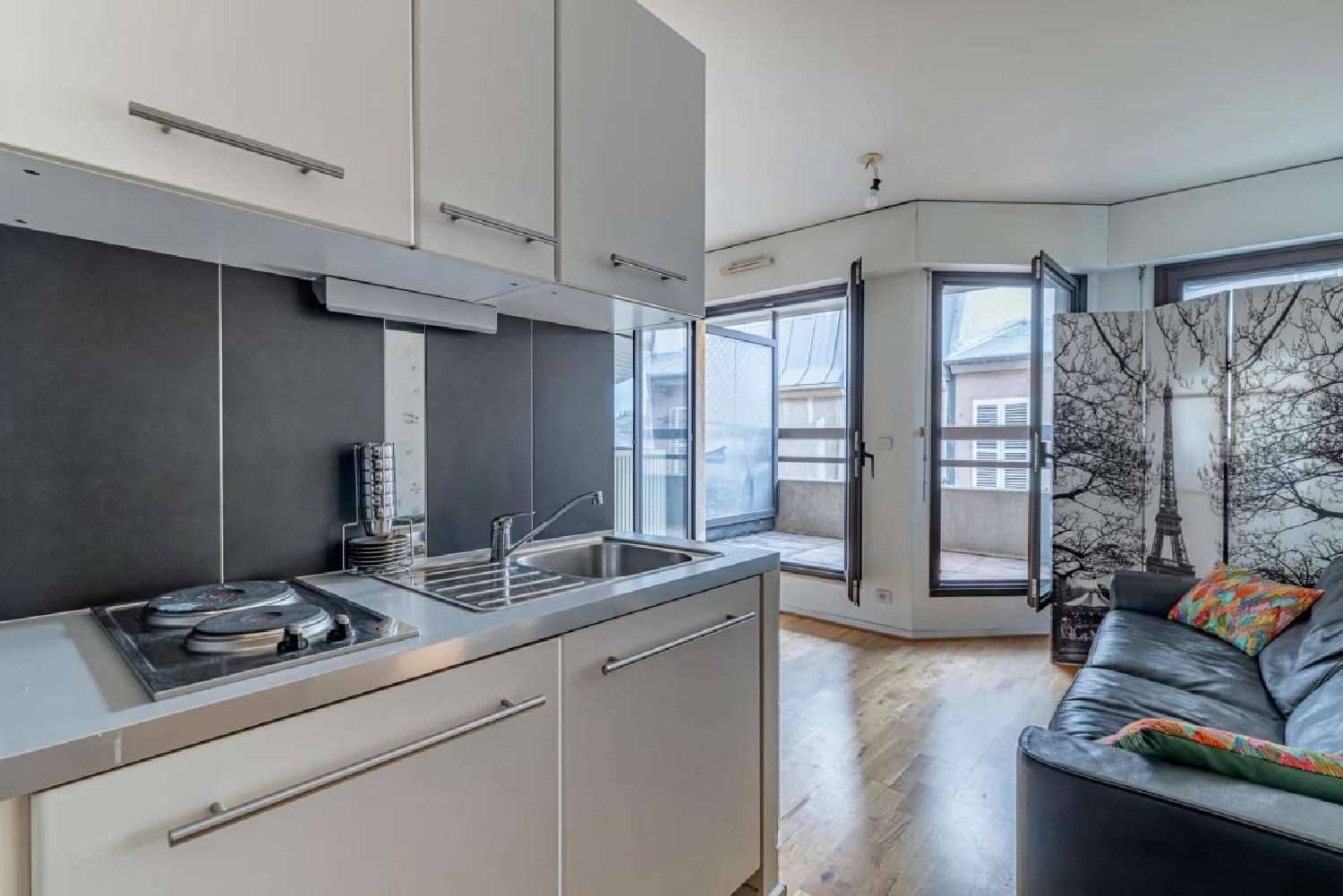  te koop appartement Suresnes Hauts-de-Seine 1