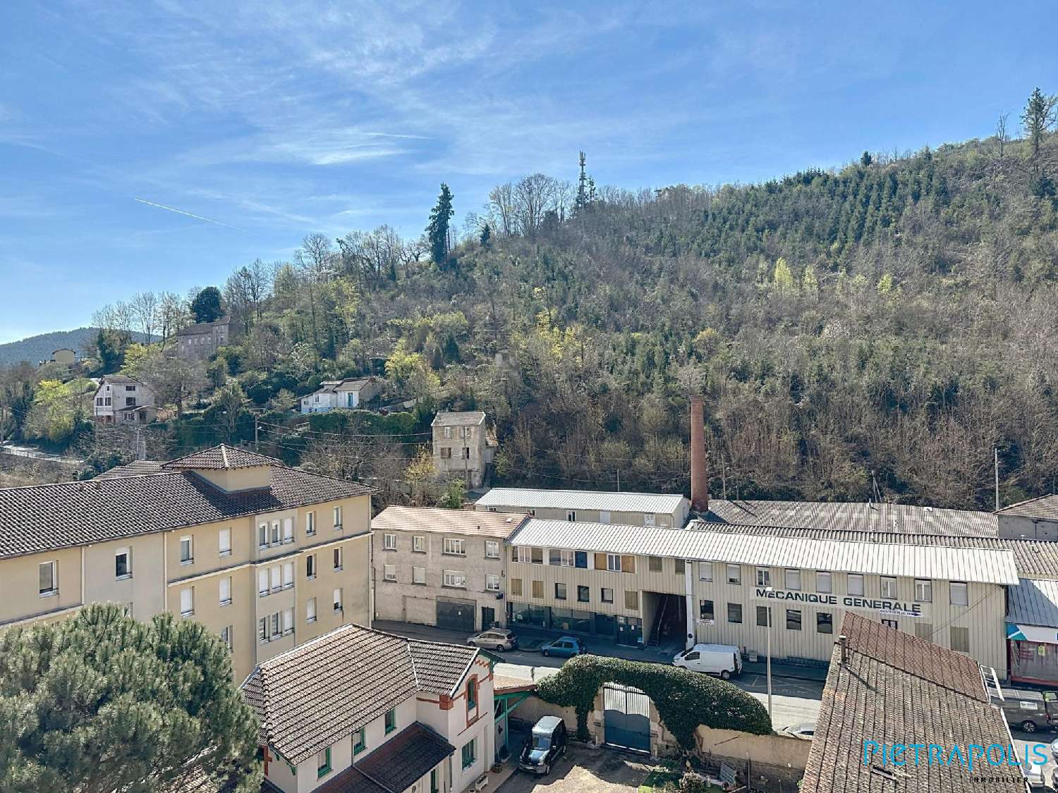  kaufen Wohnung/ Apartment Tarare Rhône 3