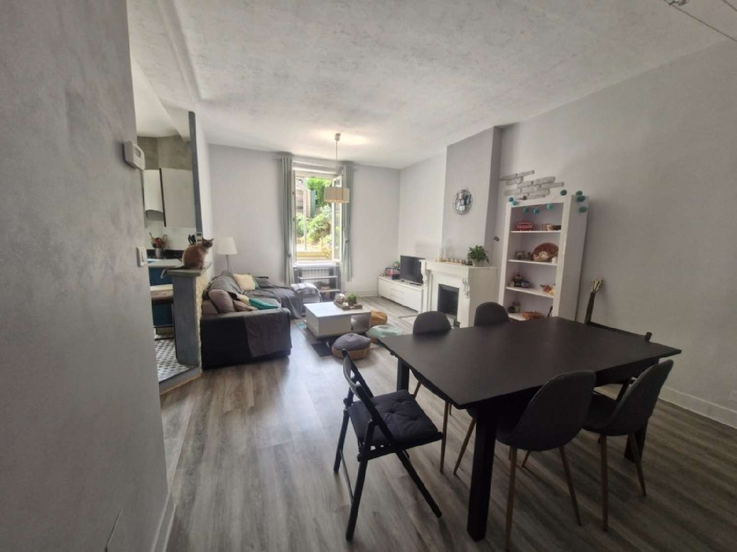 à vendre appartement Terrenoire Loire 2