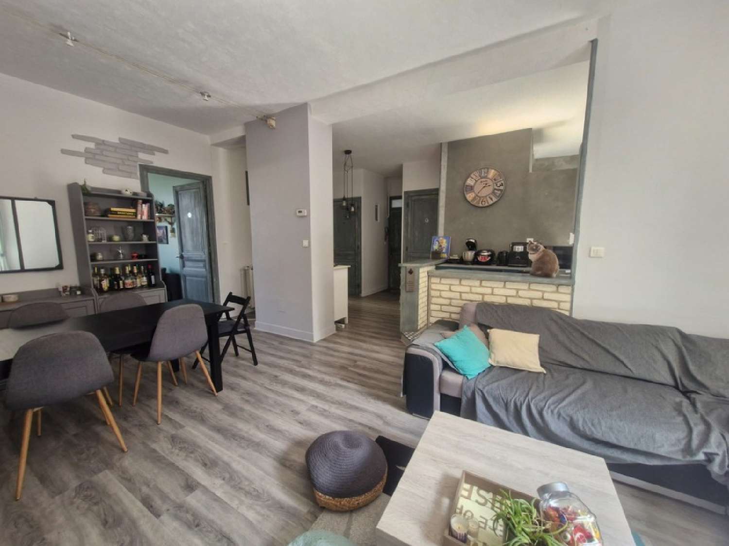 à vendre appartement Terrenoire Loire 5