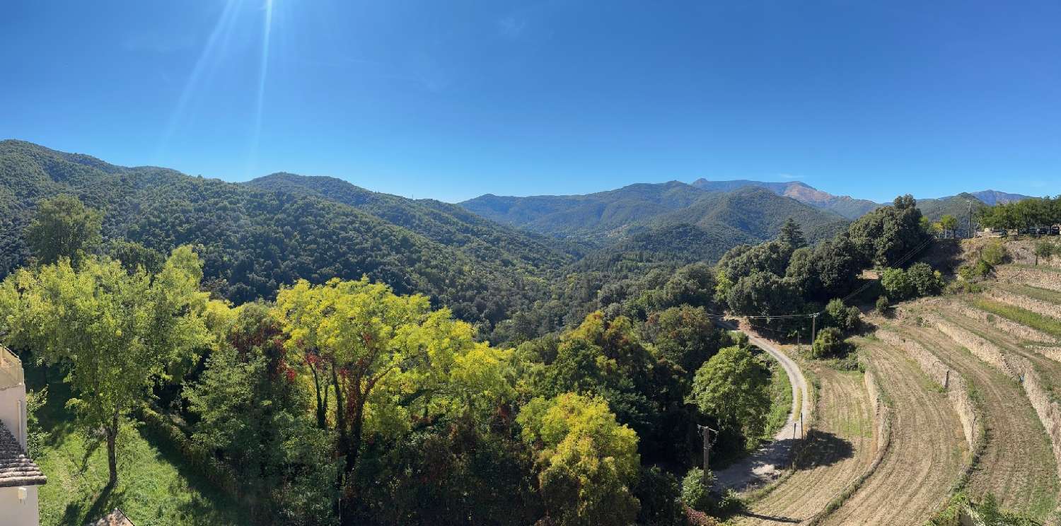 kaufen Wohnung/ Apartment Valleraugue Gard 2