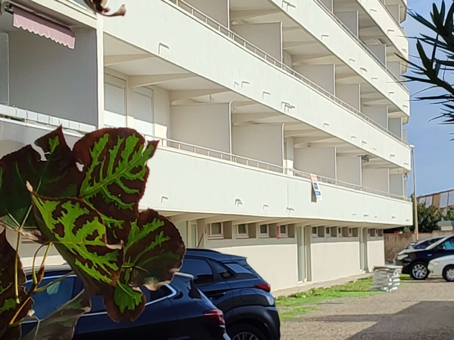 te koop appartement Valras-Plage Hérault 3