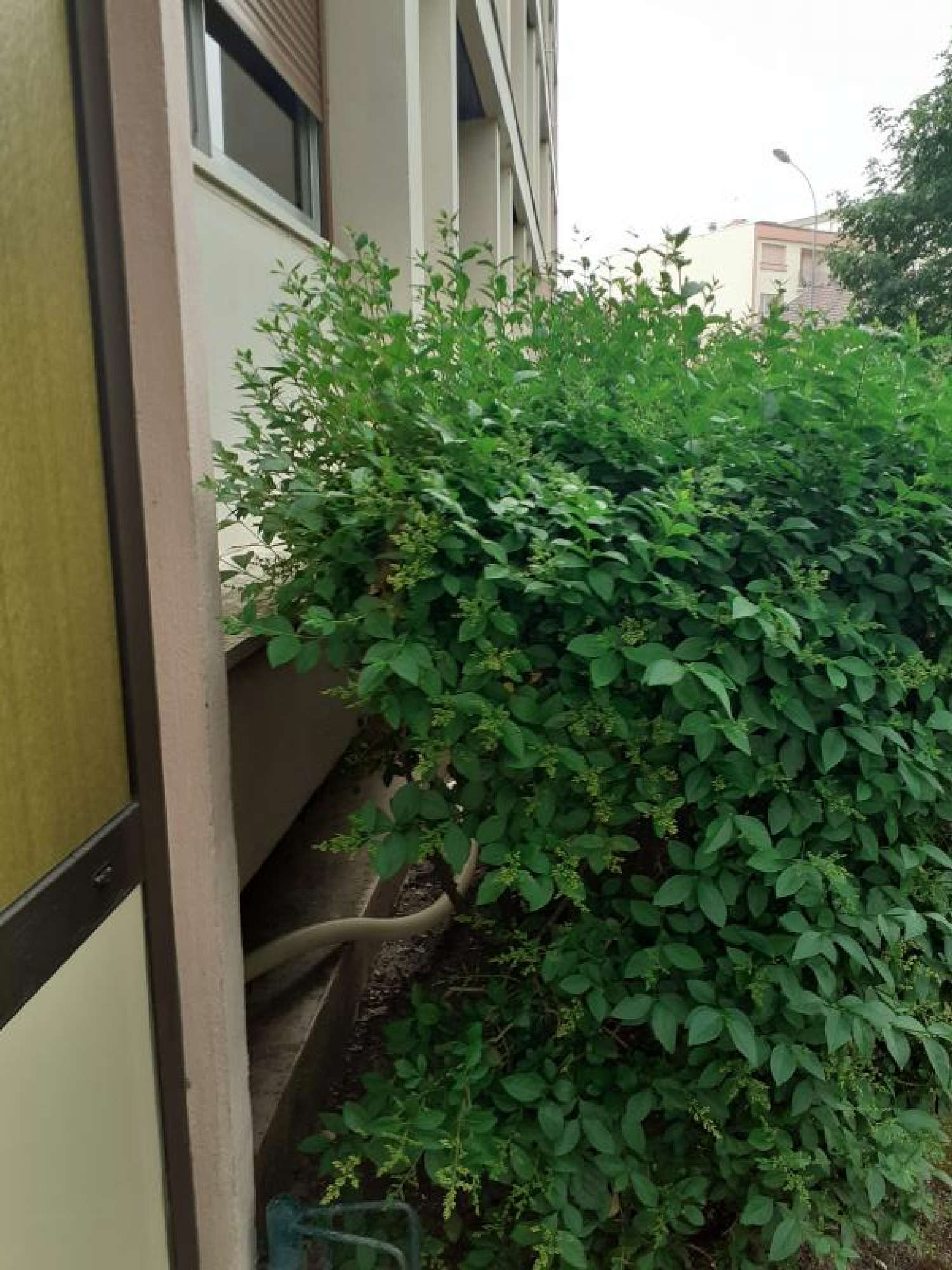  kaufen Wohnung/ Apartment Vichy Allier 8