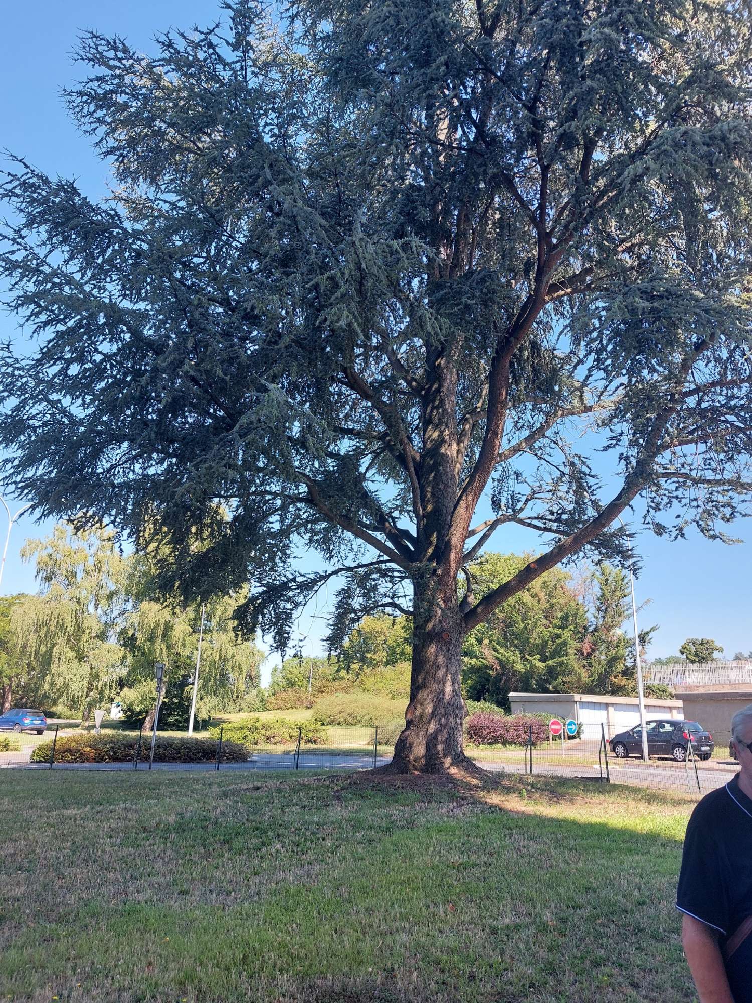 kaufen Wohnung/ Apartment Vichy Allier 3