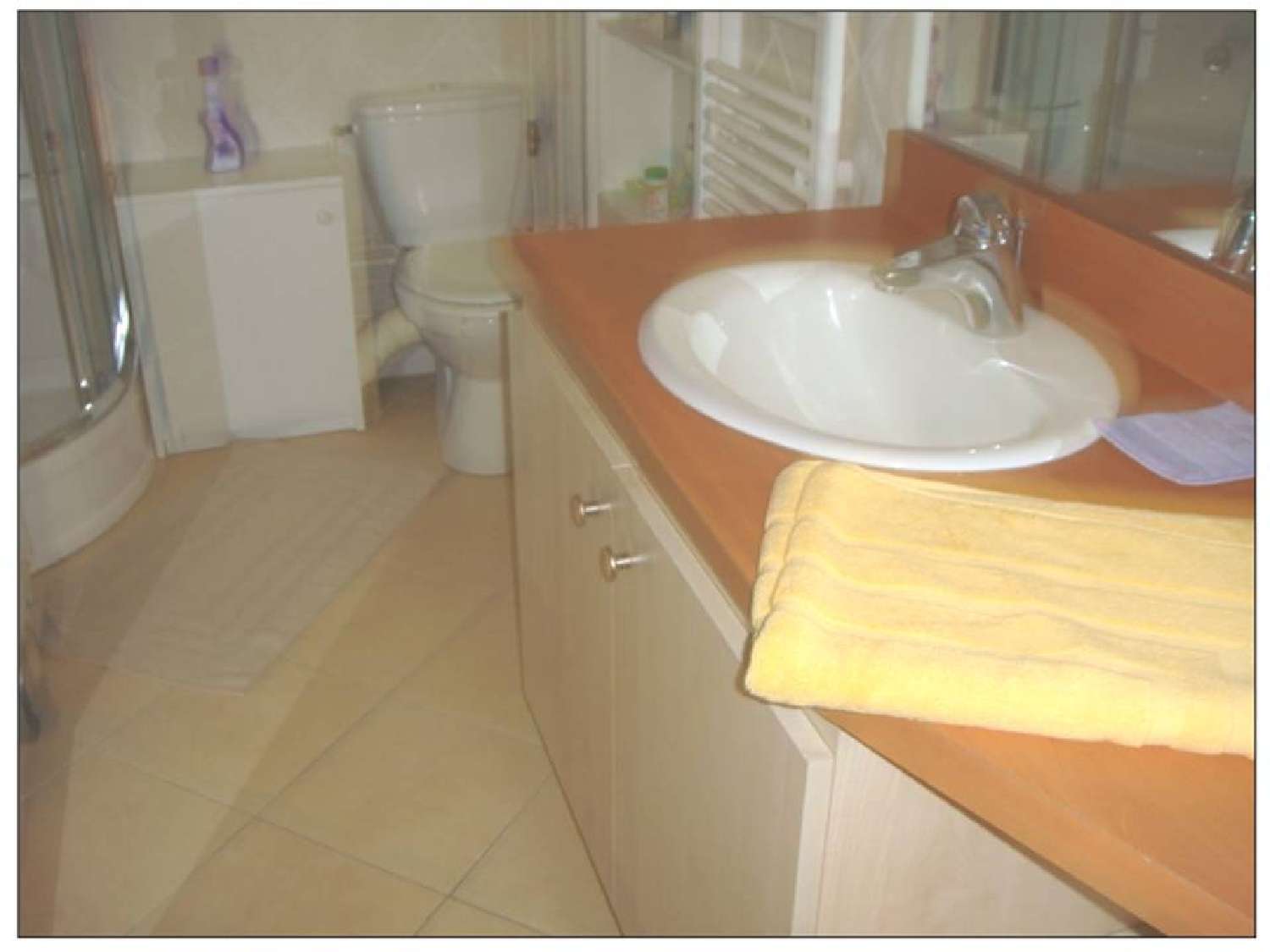 à vendre appartement Vichy Allier 4