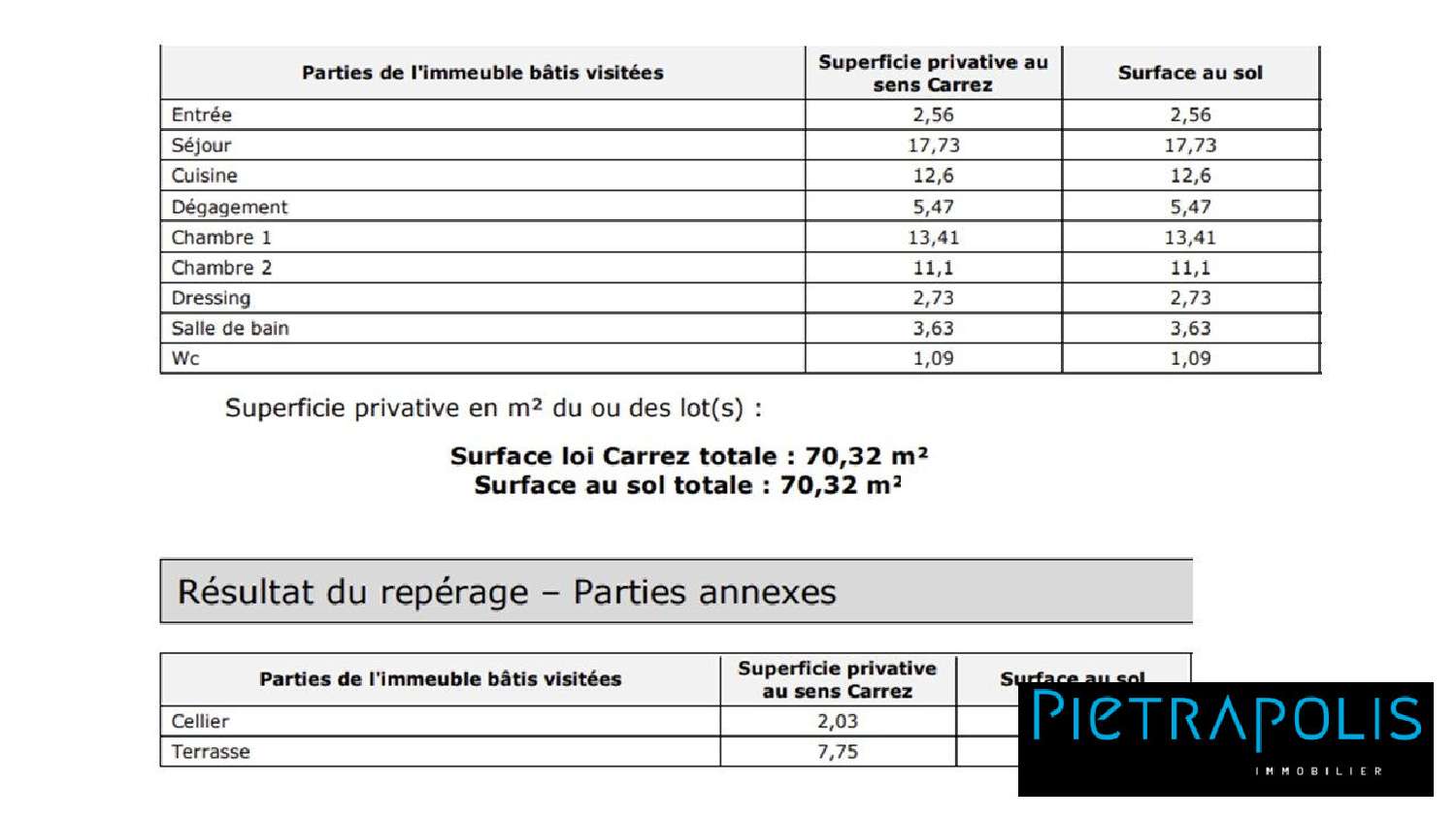 for sale apartment Villeurbanne Rhône 3