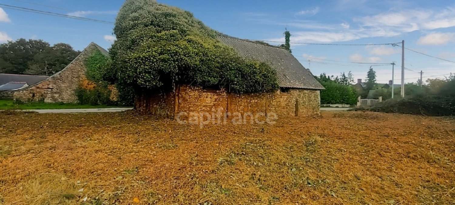  for sale barn Coësmes Ille-et-Vilaine 3