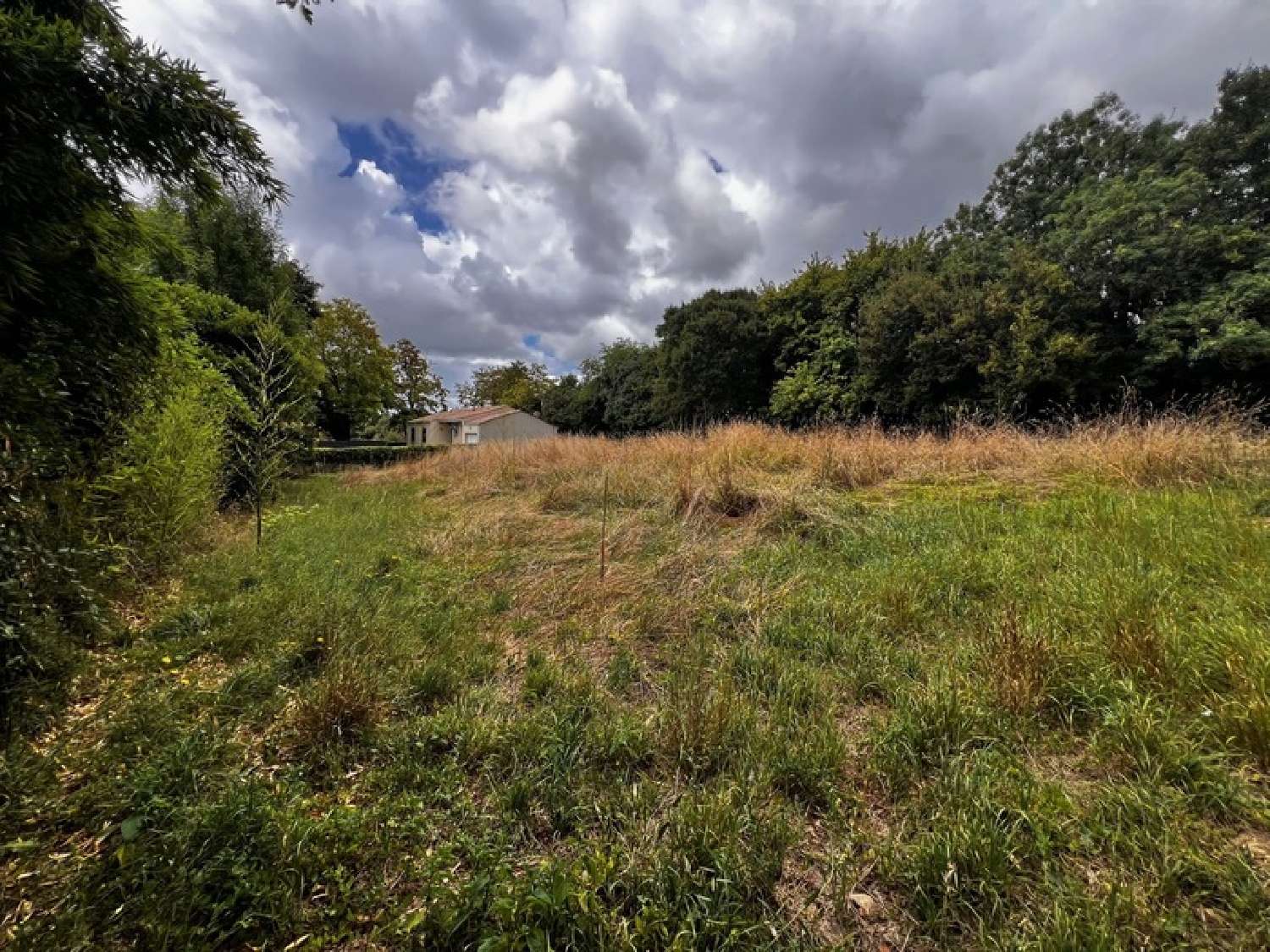 te koop schuur Genouillé Charente-Maritime 3