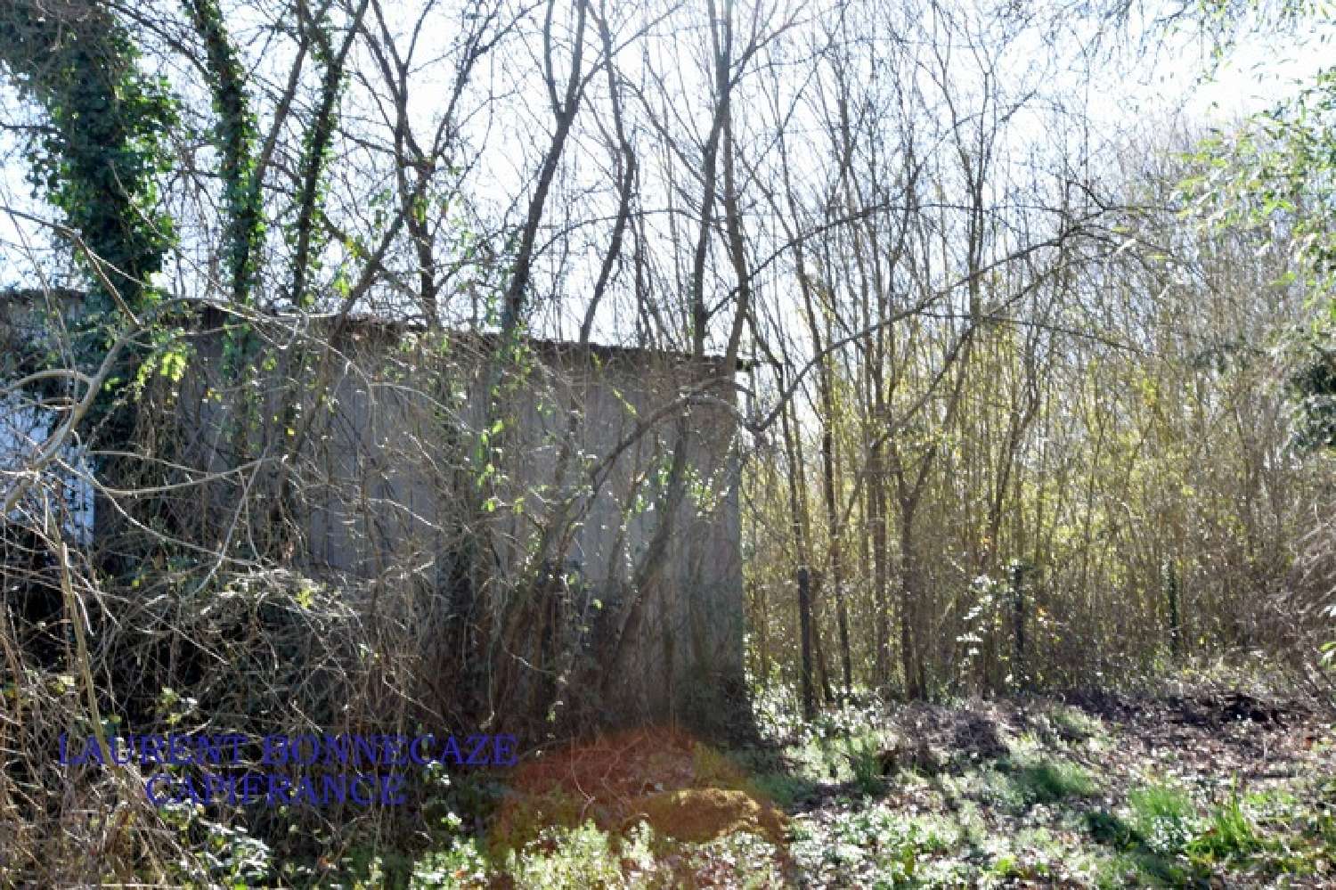 for sale barn Valence Tarn-et-Garonne 3