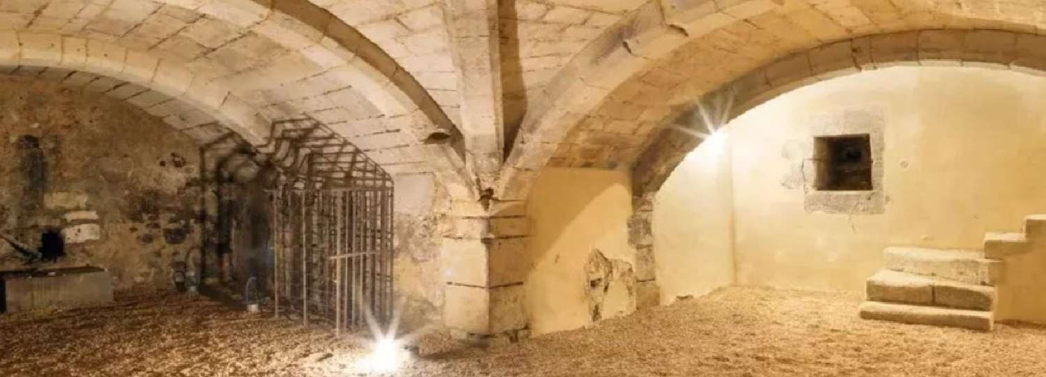  te koop kasteel Allonne Oise 7