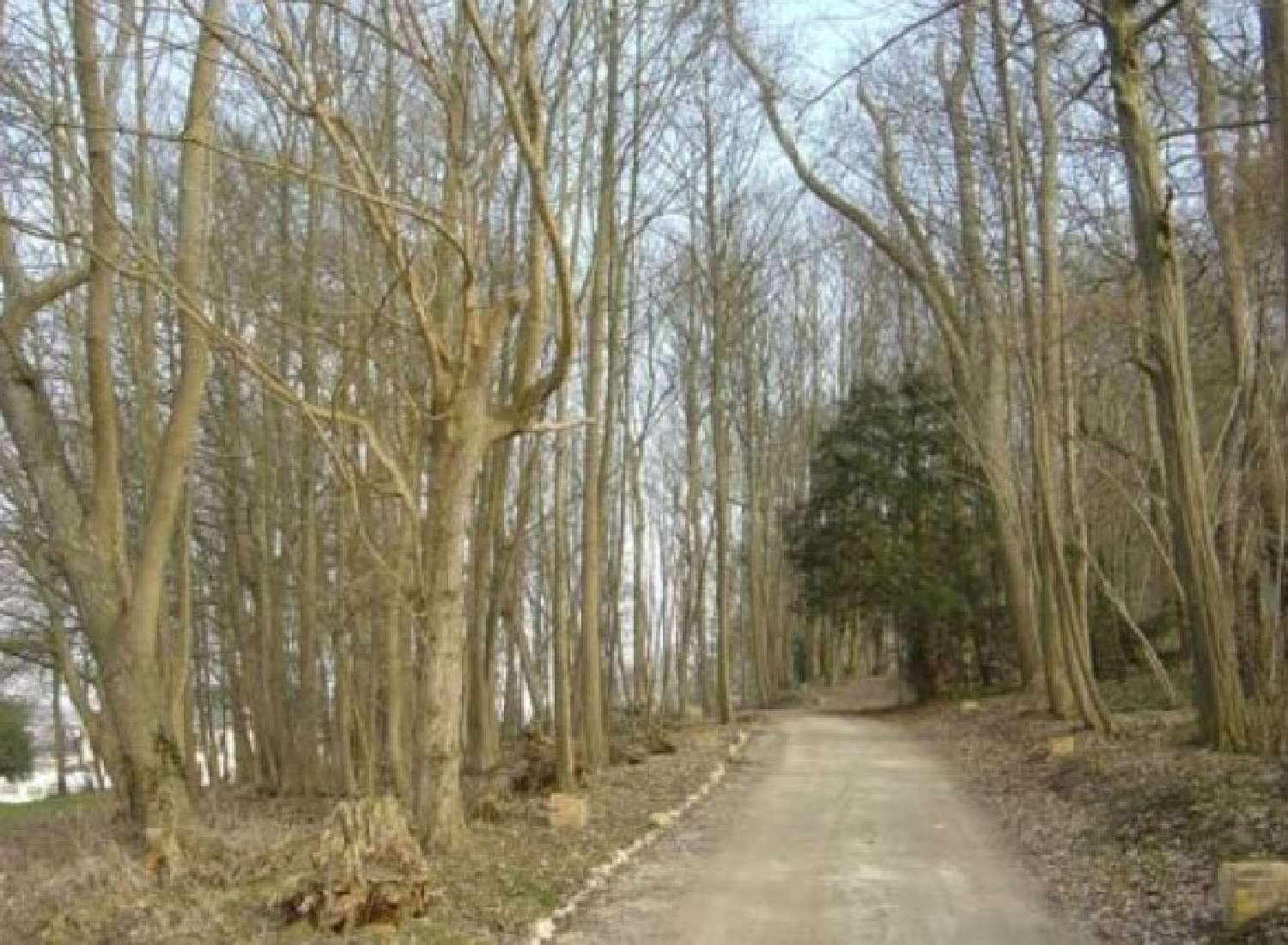  for sale castle Allonne Oise 3