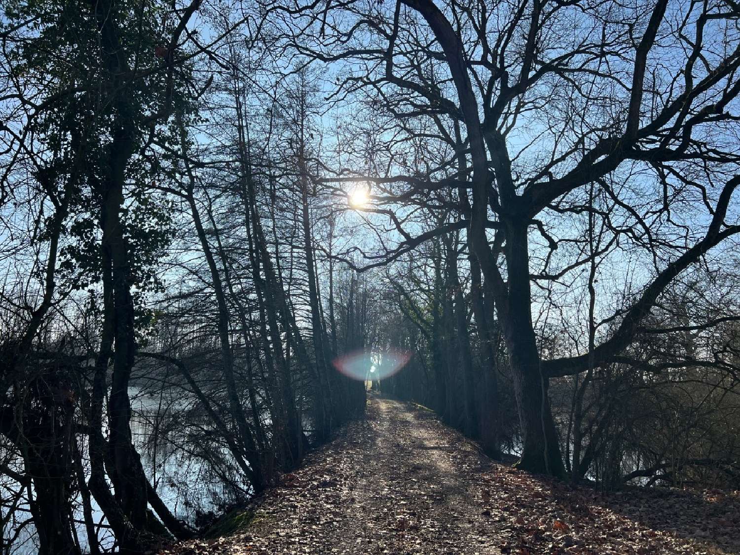 te koop kasteel Angers Maine-et-Loire 6