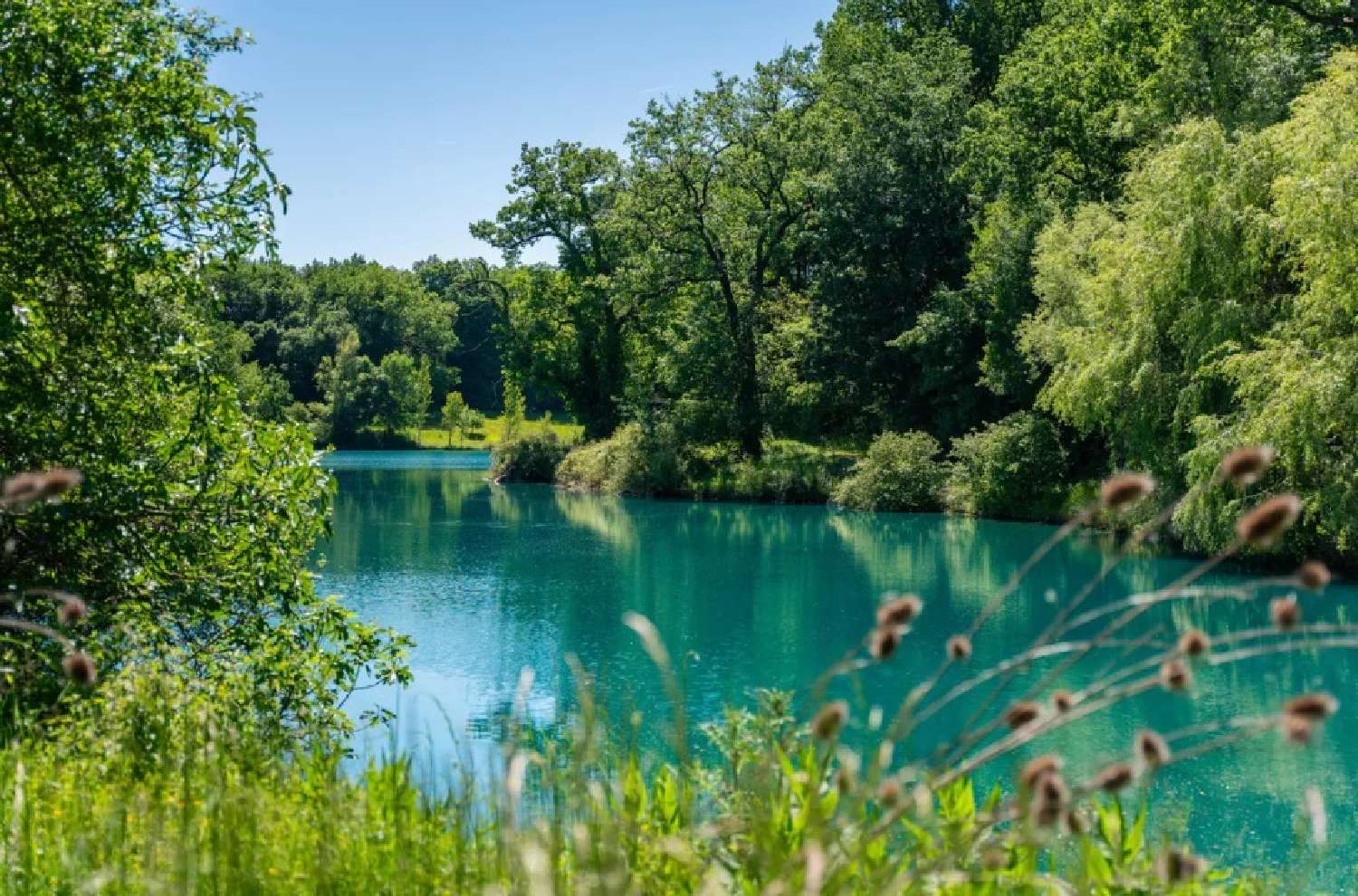  te koop kasteel Auch Gers 3