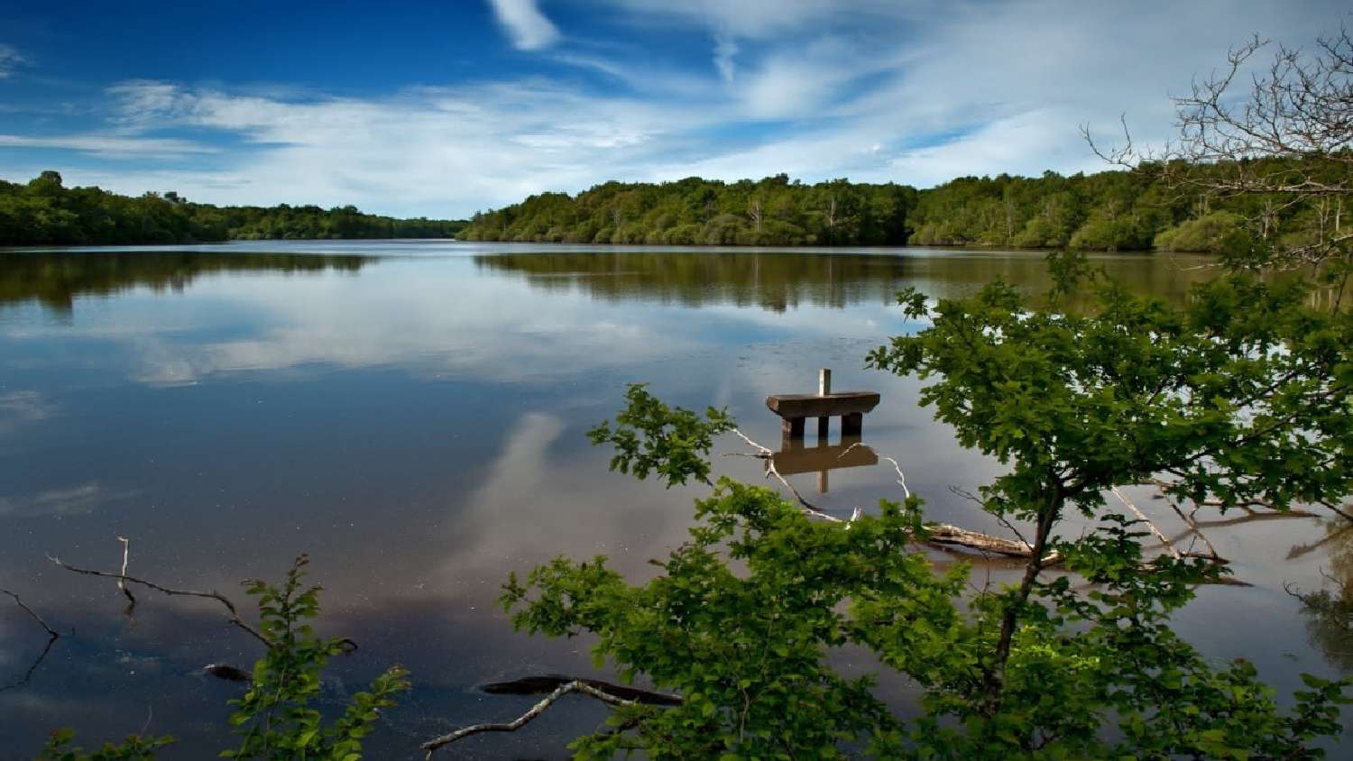  te koop kasteel Blois Loir-et-Cher 2