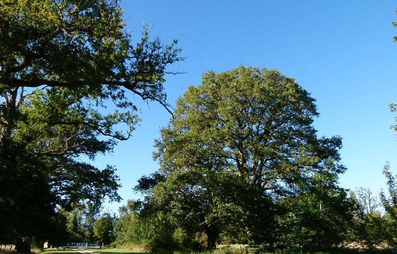  for sale castle Blois Loir-et-Cher 2