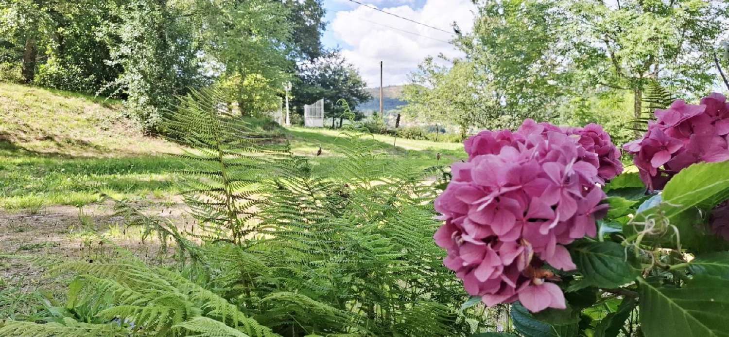  te koop kasteel Cadarcet Ariège 2