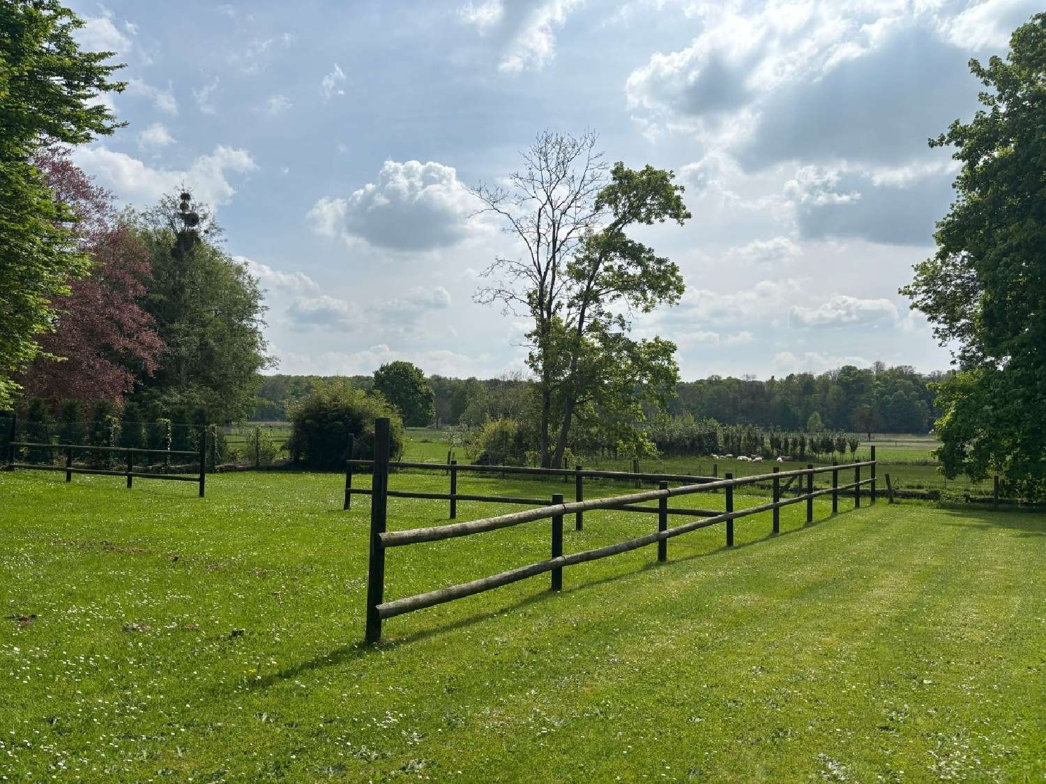  te koop kasteel Chantilly Oise 5