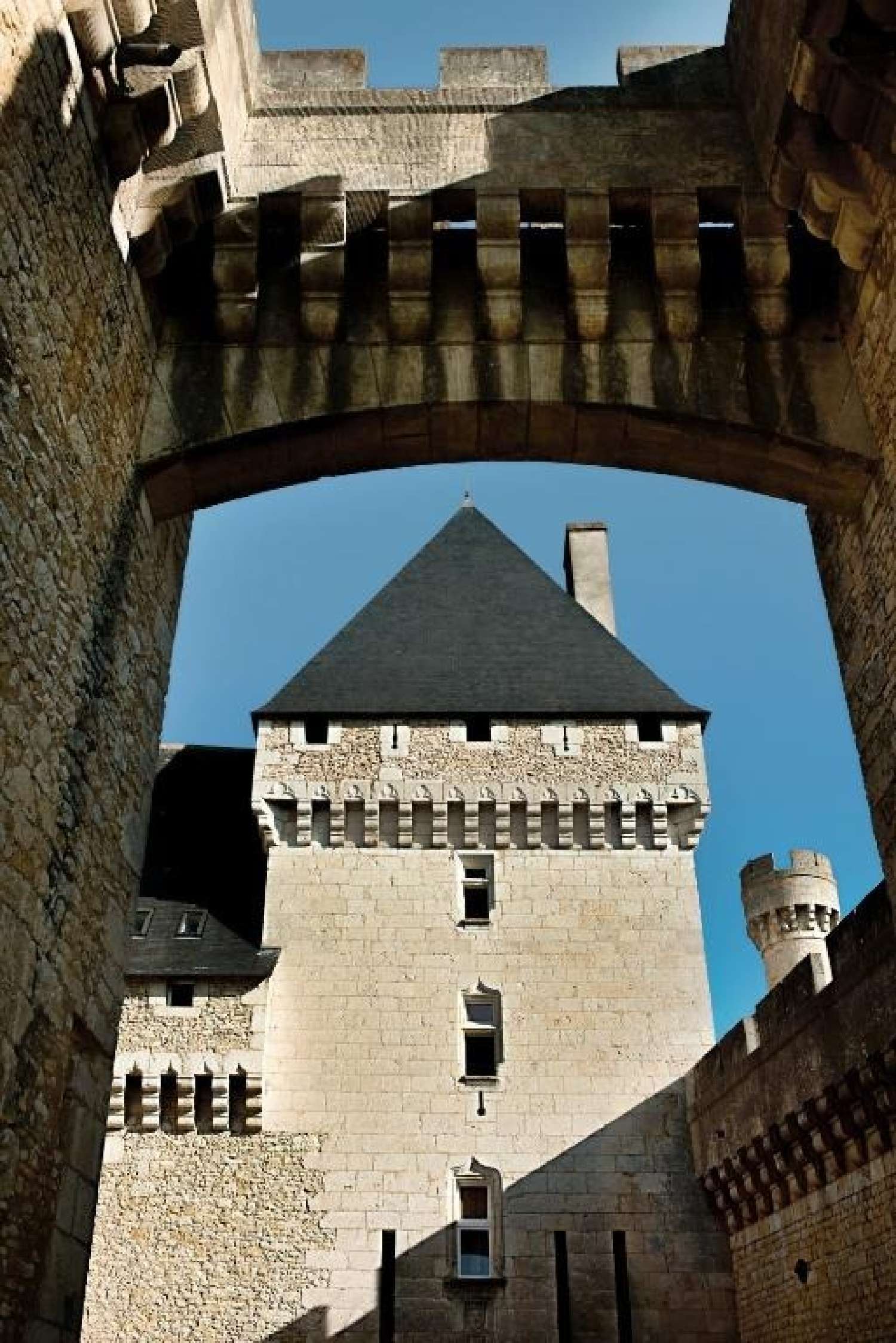 te koop kasteel Châtillon-sur-Indre Indre 3