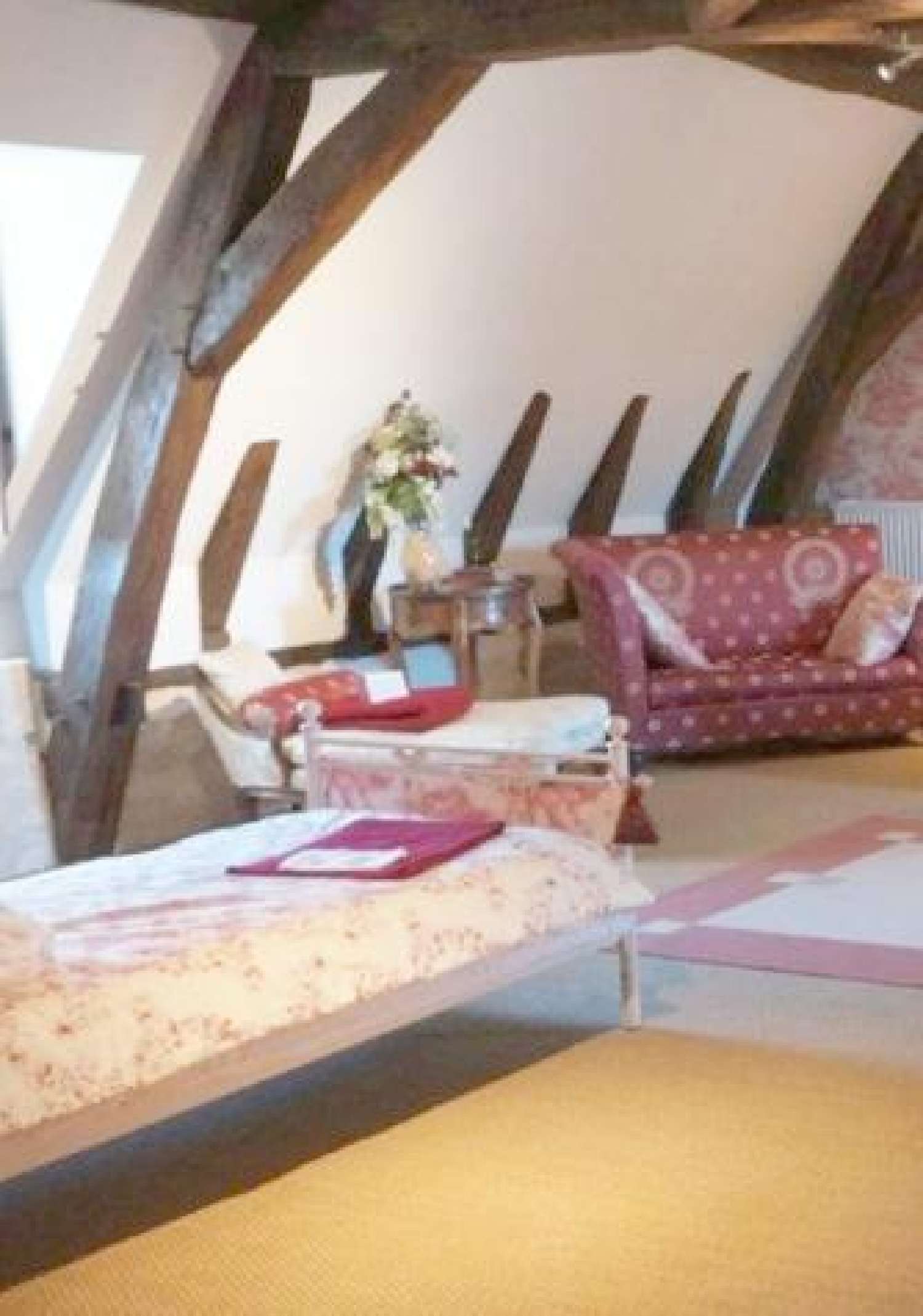  for sale castle Chinon Indre-et-Loire 2