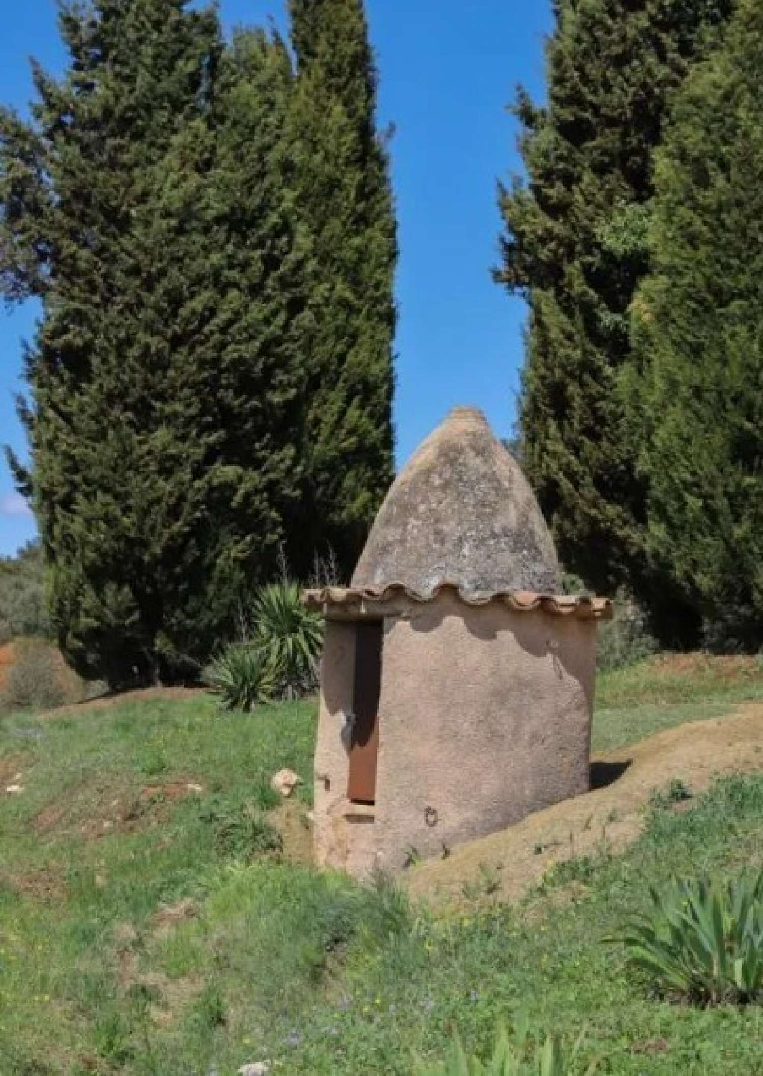  te koop kasteel Le Luc Var 7