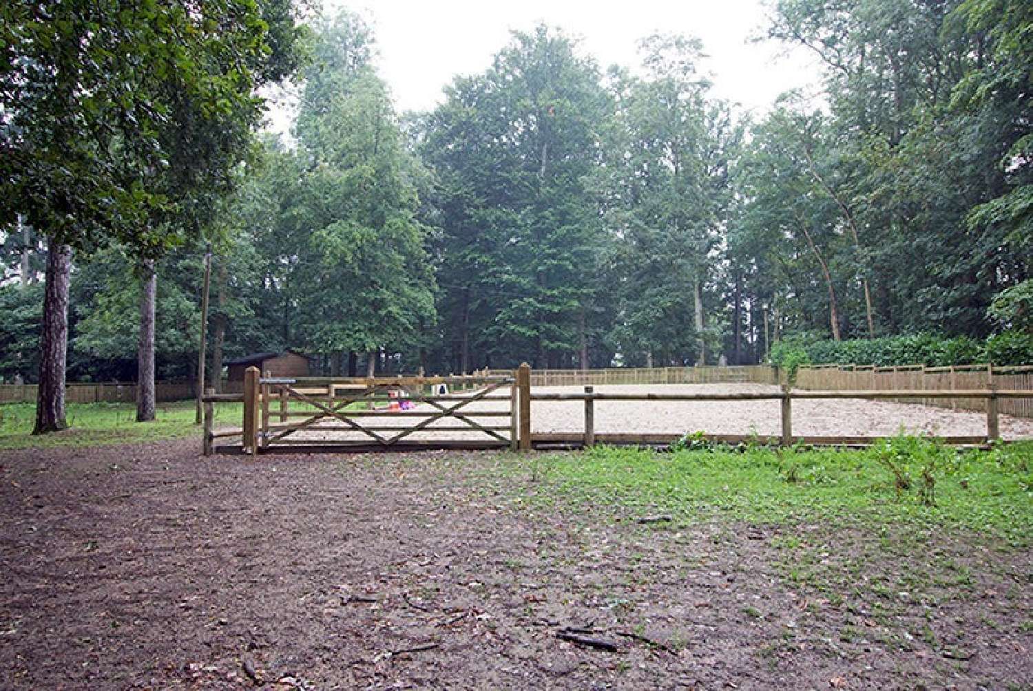  te koop kasteel Le Mans Sarthe 7