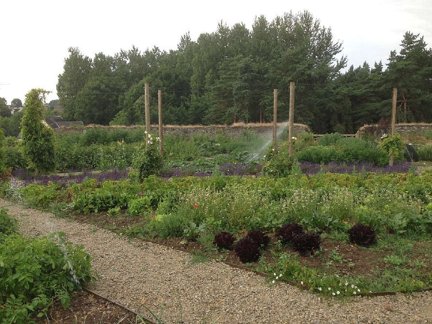  te koop kasteel Le Mans Sarthe 8