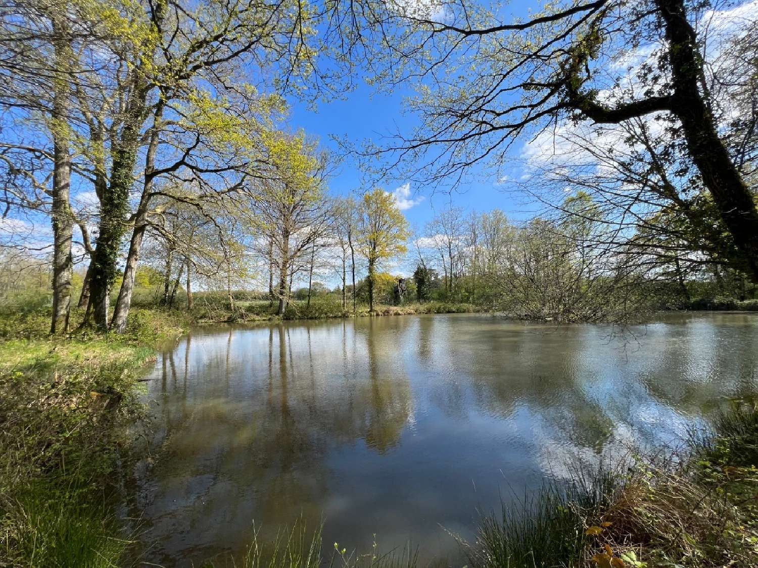  te koop kasteel Le Mans Sarthe 5