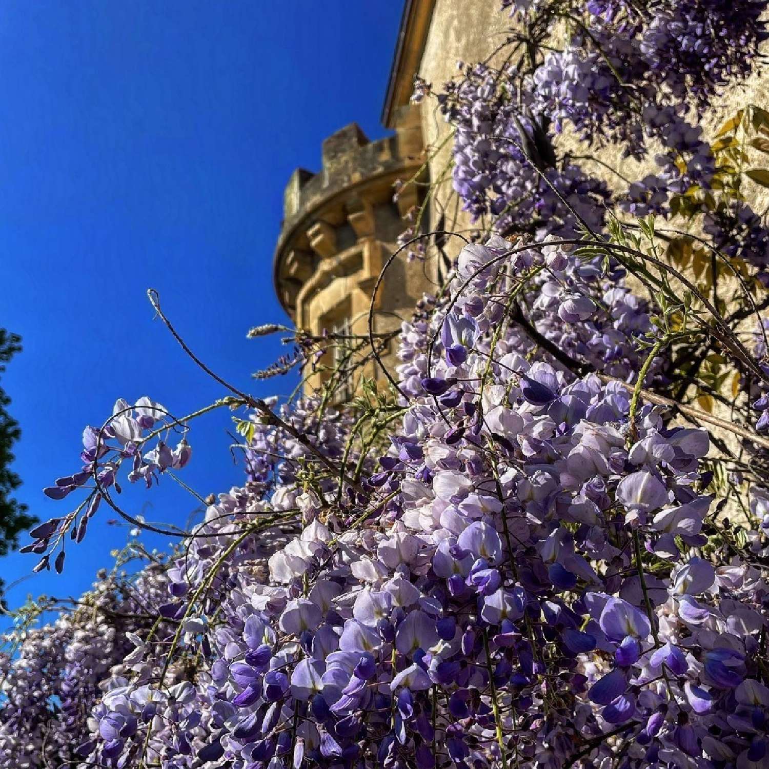 te koop kasteel Périgueux Dordogne 5