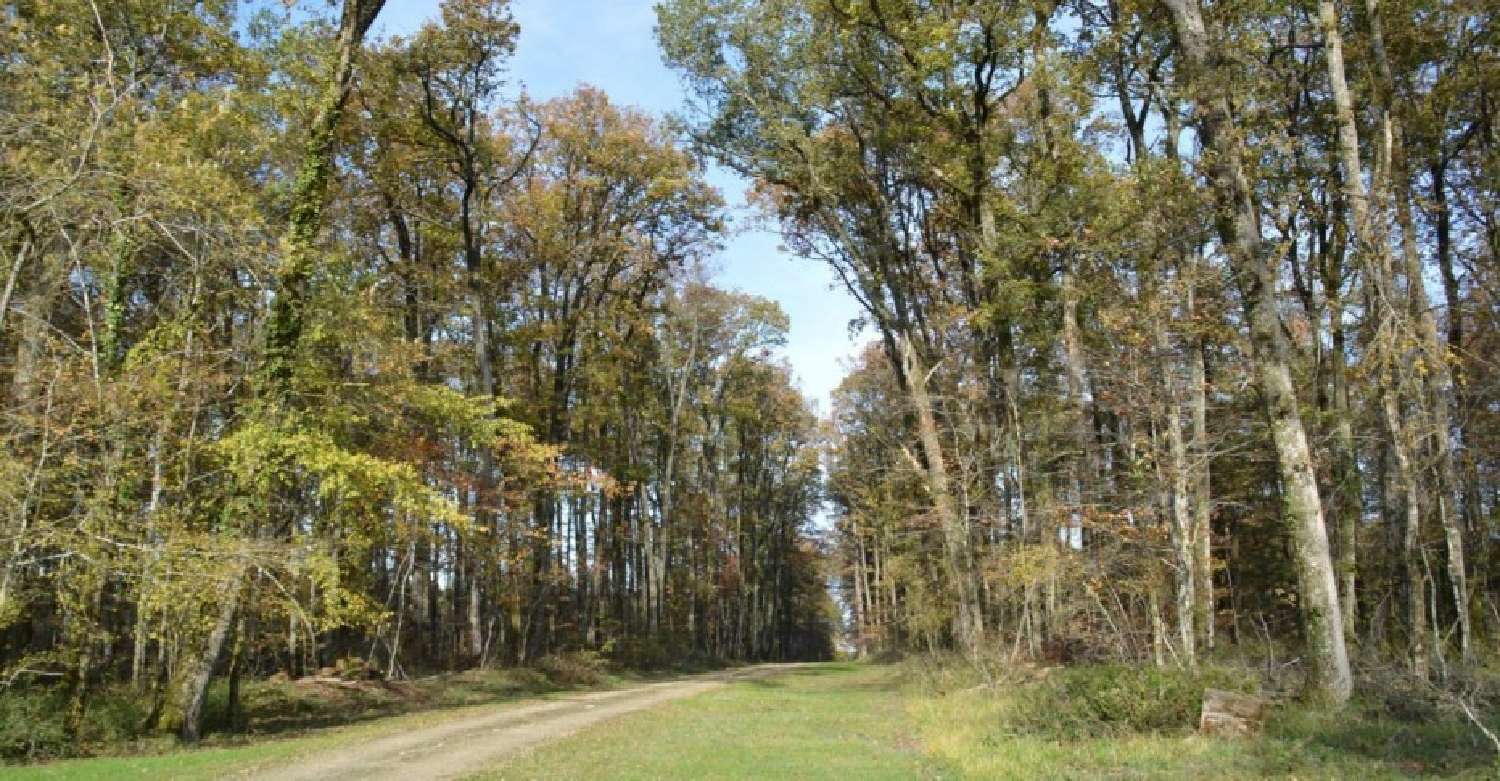  te koop kasteel Poitiers Vienne 4