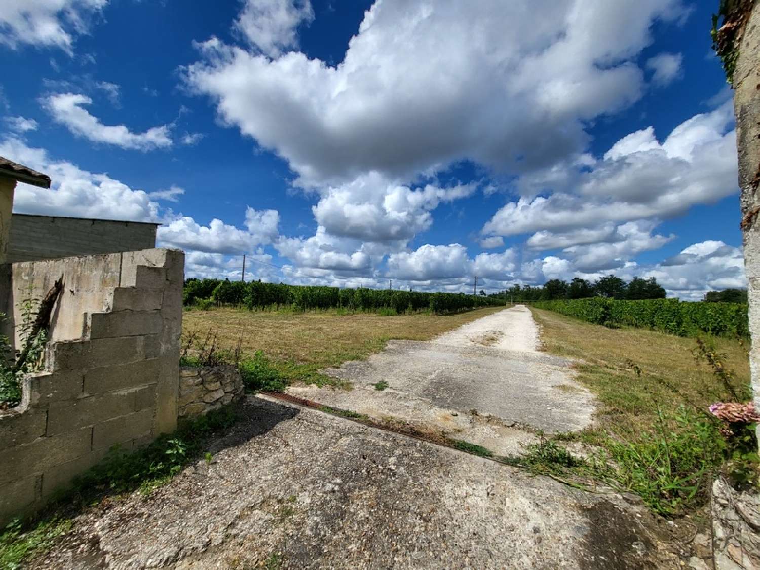  en venta castillo Puisséguin Gironde 6