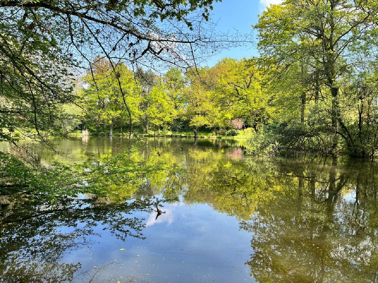  for sale castle Rennes Ille-et-Vilaine 3