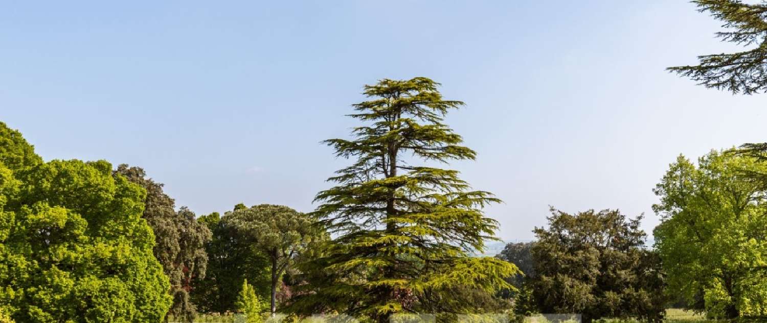  te koop kasteel Royan Charente-Maritime 3