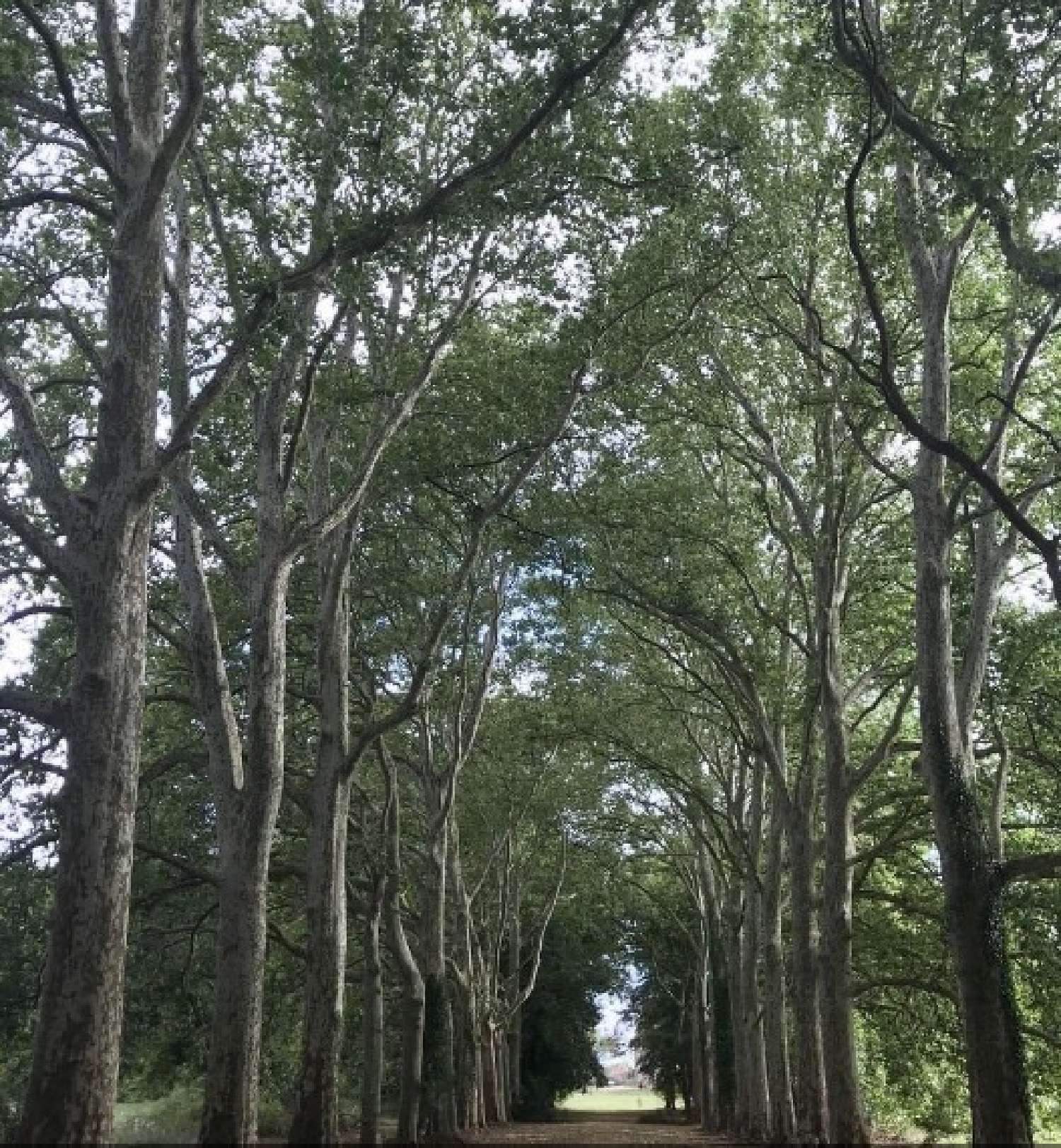  te koop kasteel Sancerre Cher 5