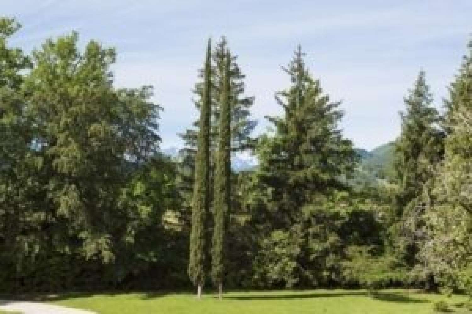  te koop kasteel Toulouse 31500 Haute-Garonne 3