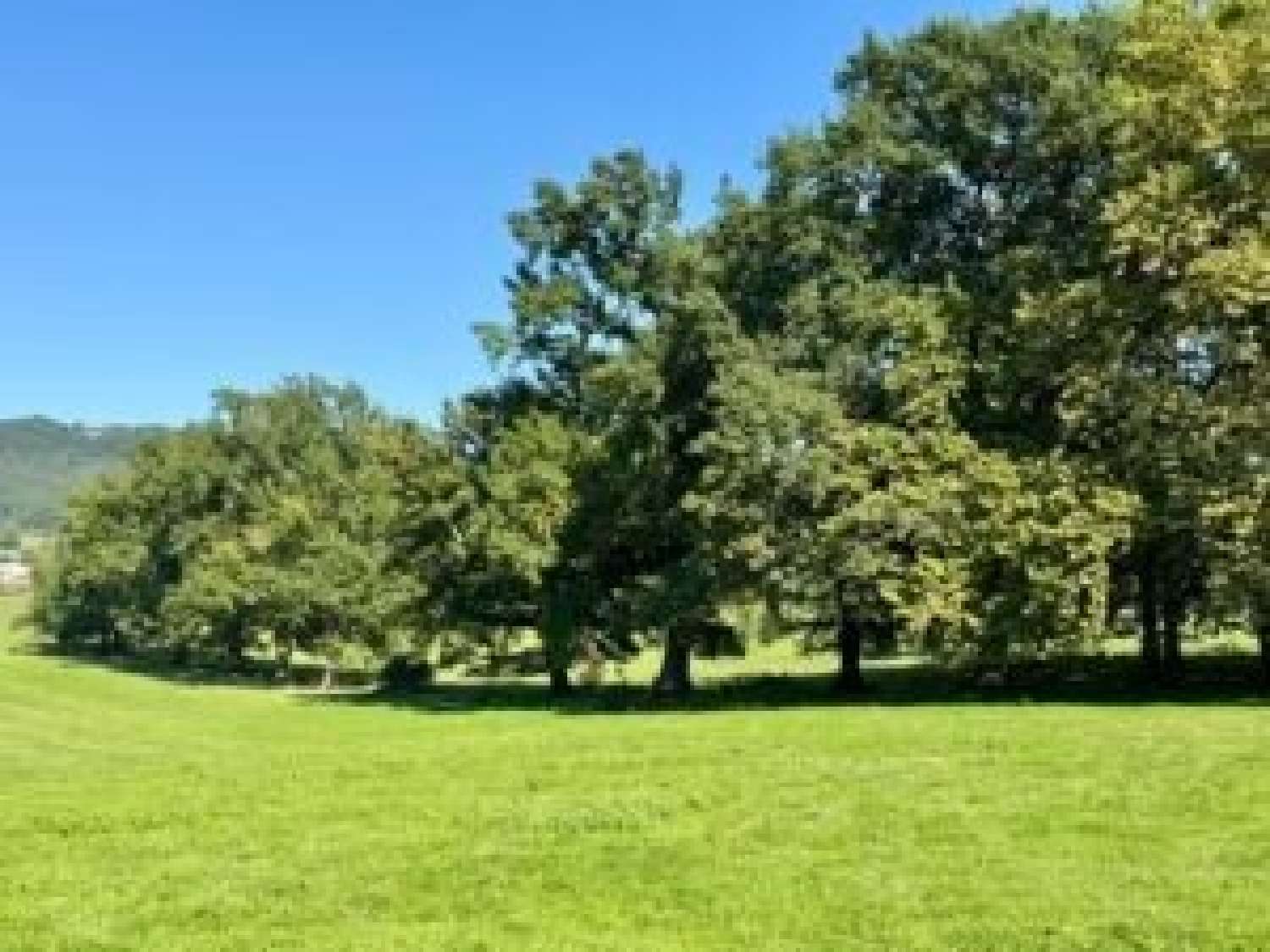  te koop kasteel Toulouse 31500 Haute-Garonne 5