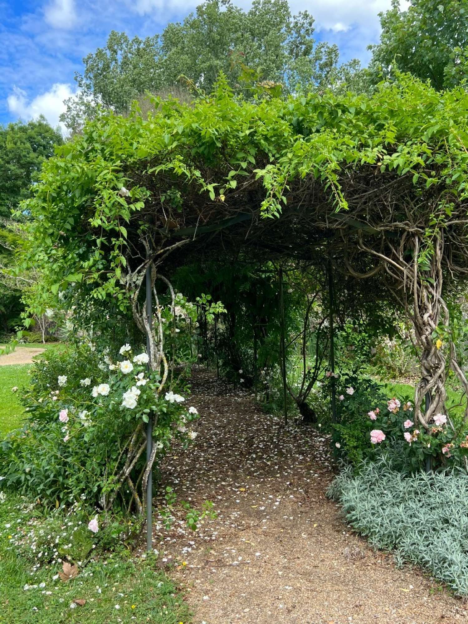  te koop kasteel Tours Indre-et-Loire 3