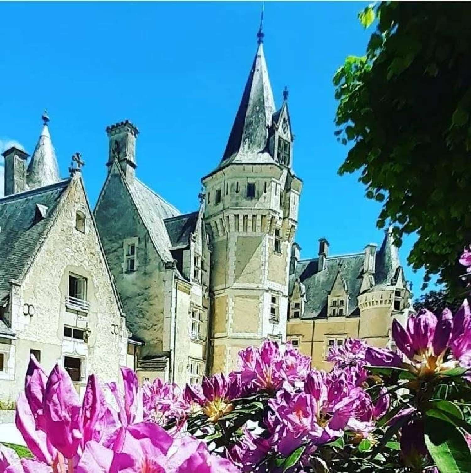  te koop kasteel Tours Indre-et-Loire 7