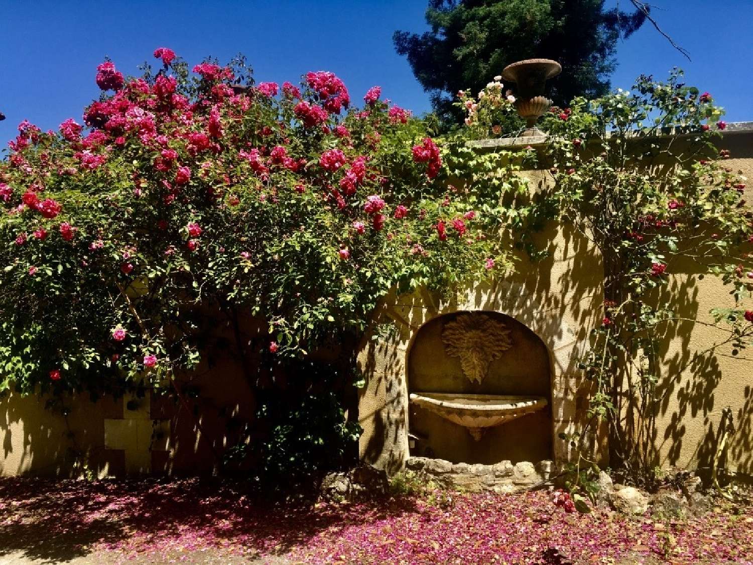  te koop kasteel Tours Indre-et-Loire 6