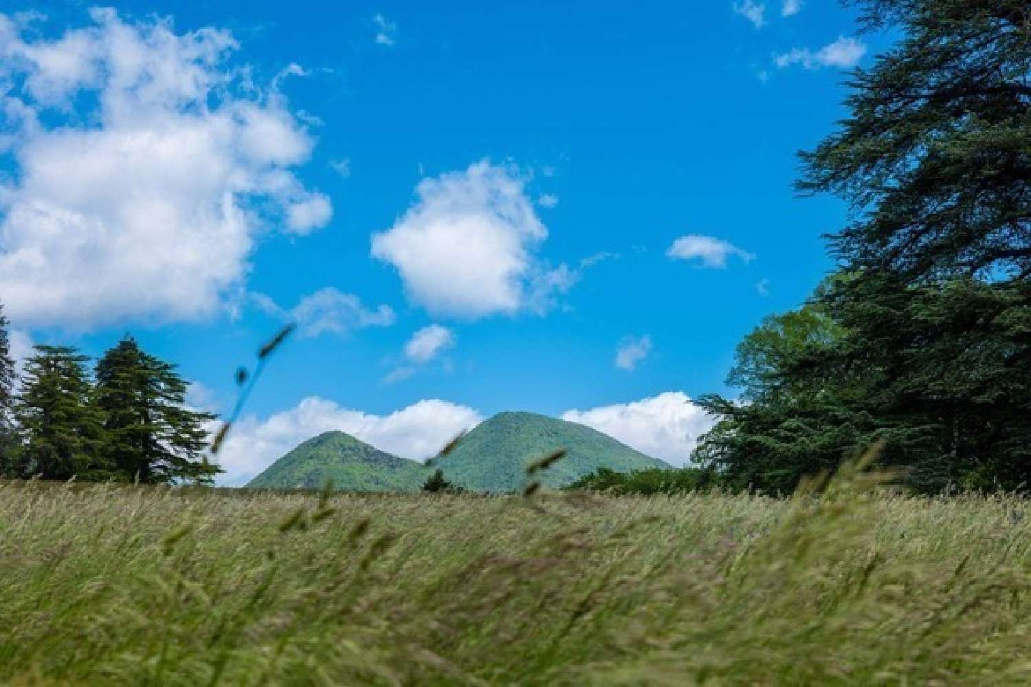  te koop kasteel Valence Tarn-et-Garonne 2