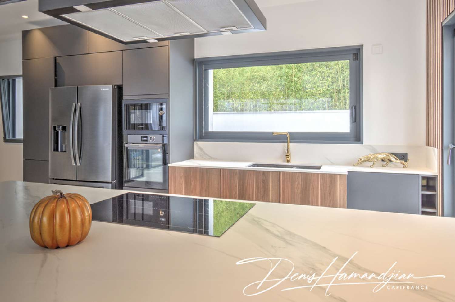 for sale house Genay Rhône 3