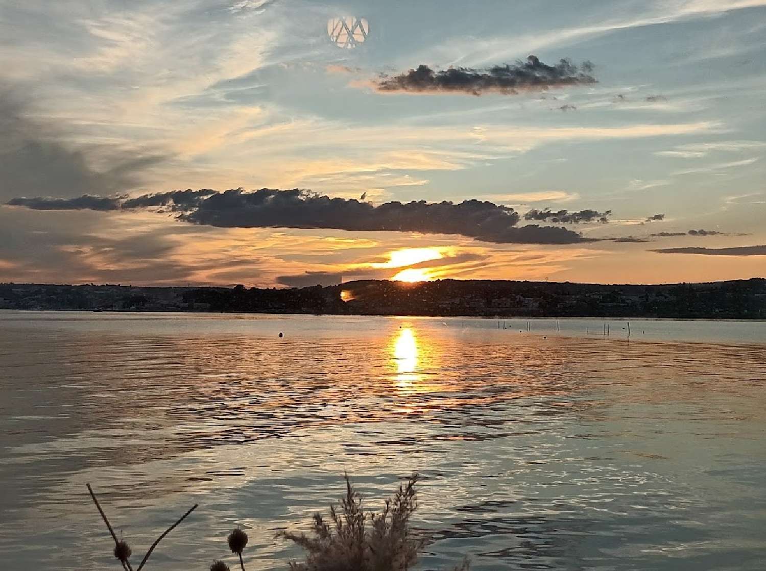  te koop bedrijfsruimte/ kantoor Balaruc-les-Bains Hérault 4