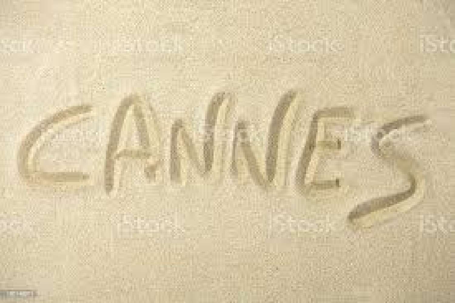  te koop bedrijfsruimte/ kantoor Cannes Alpes-Maritimes 1