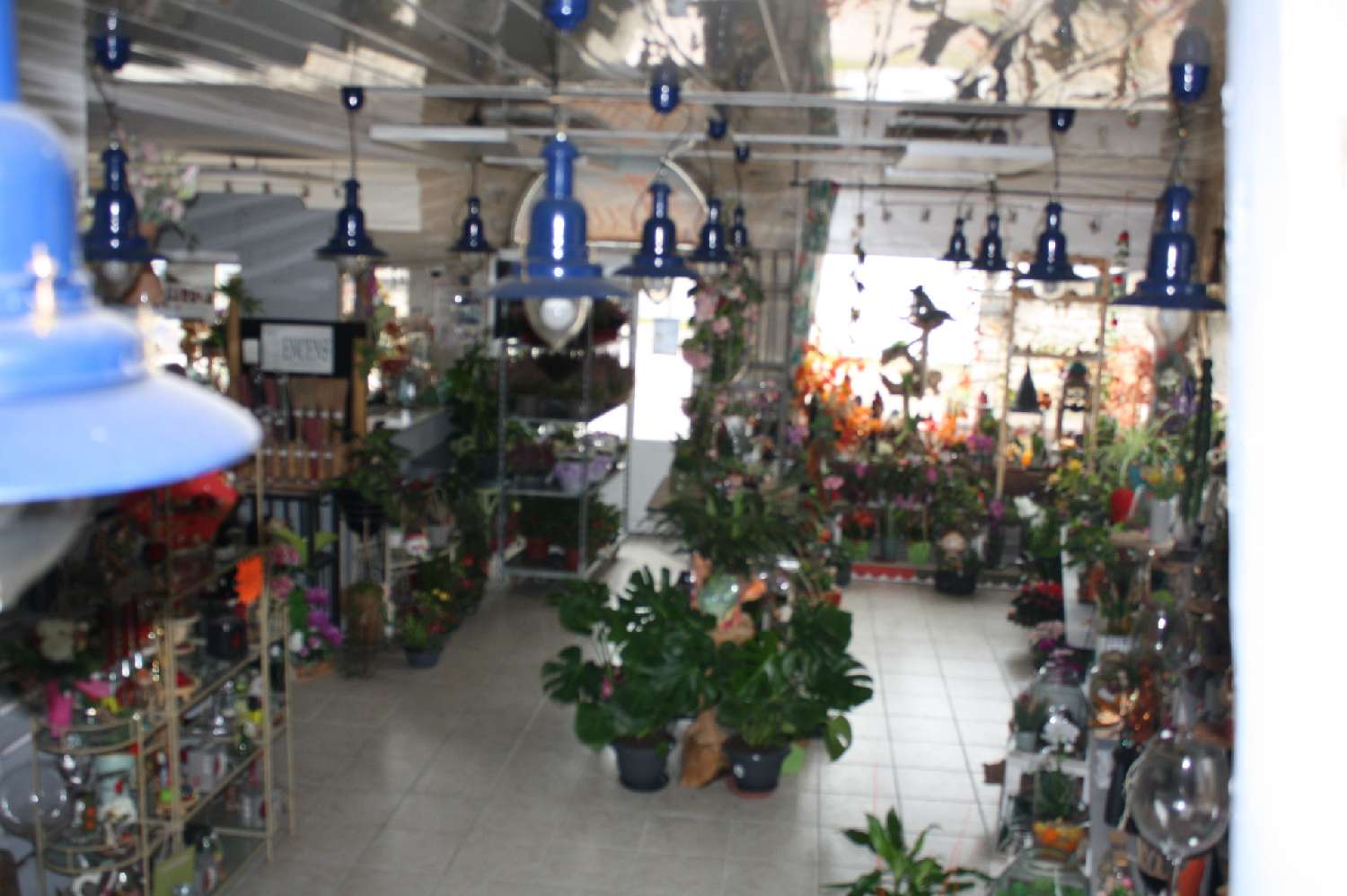 te koop bedrijfsruimte/ kantoor Chalindrey Haute-Marne 2