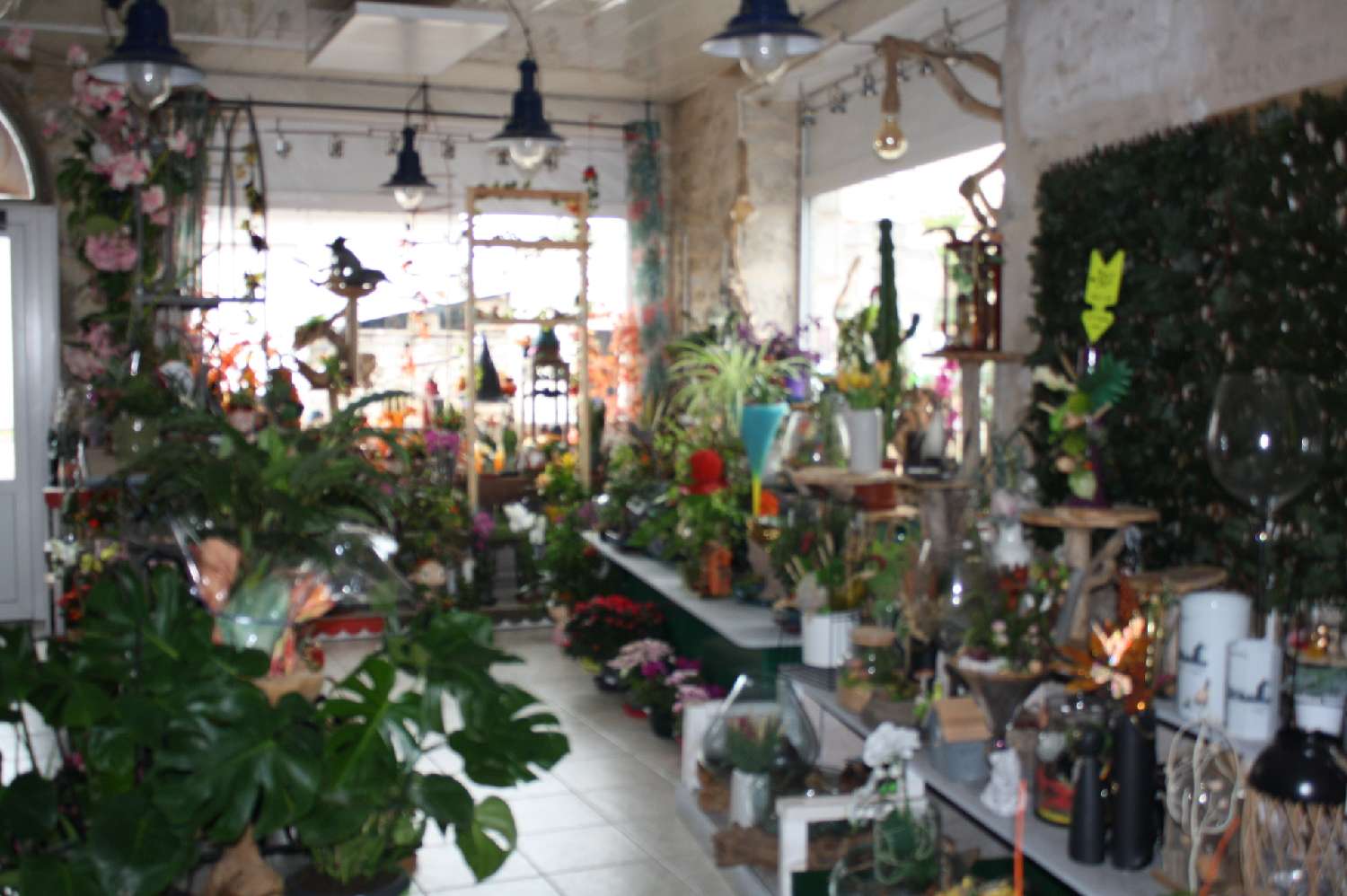 te koop bedrijfsruimte/ kantoor Chalindrey Haute-Marne 3